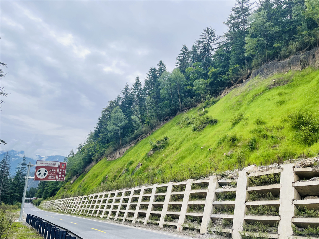 1680749576370035363.jpg 02.jpg