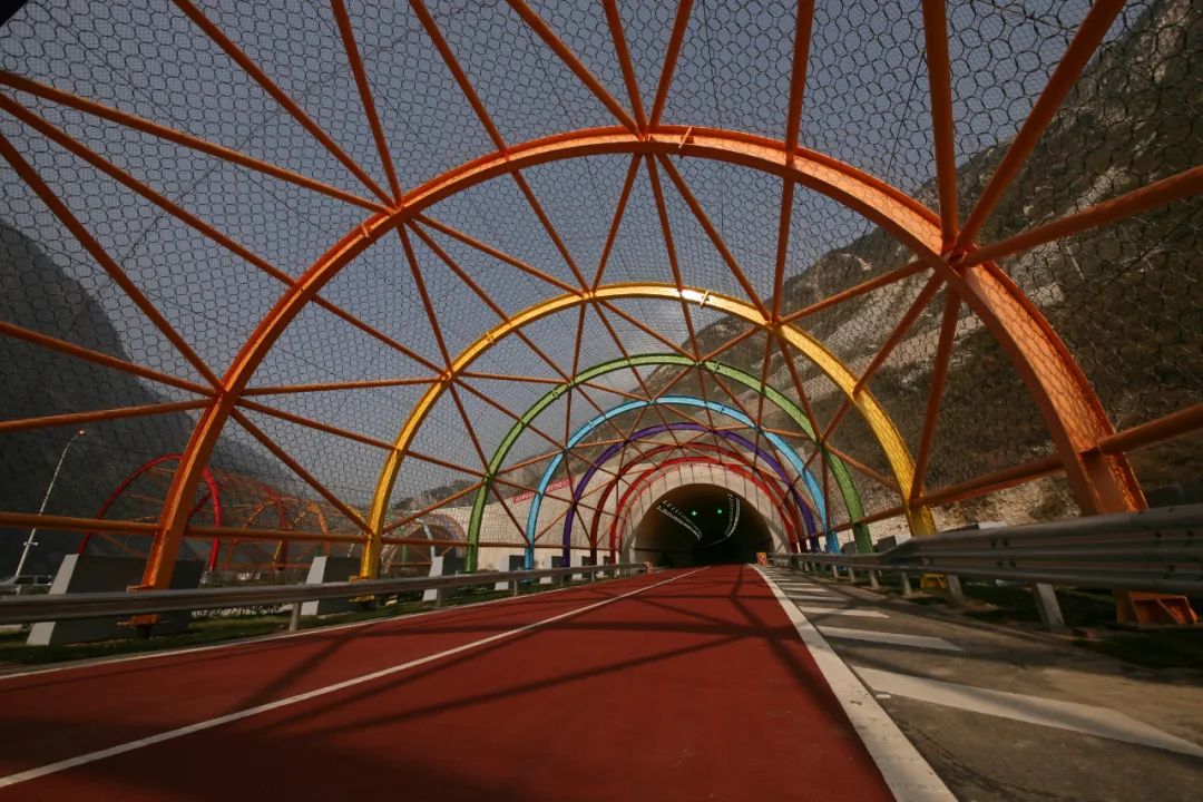 1684122285530098311.jpg 15.jpg