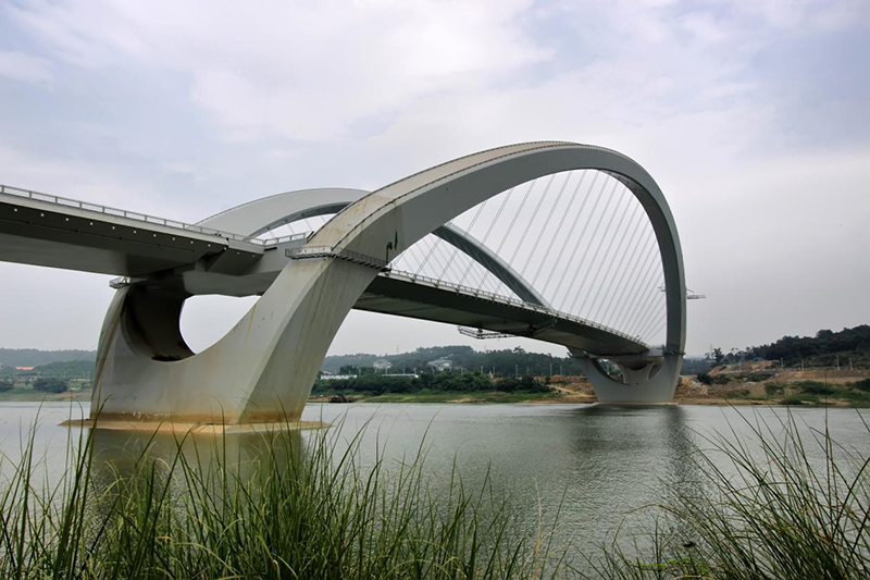 1696646474119066422.png 圖片 3.png