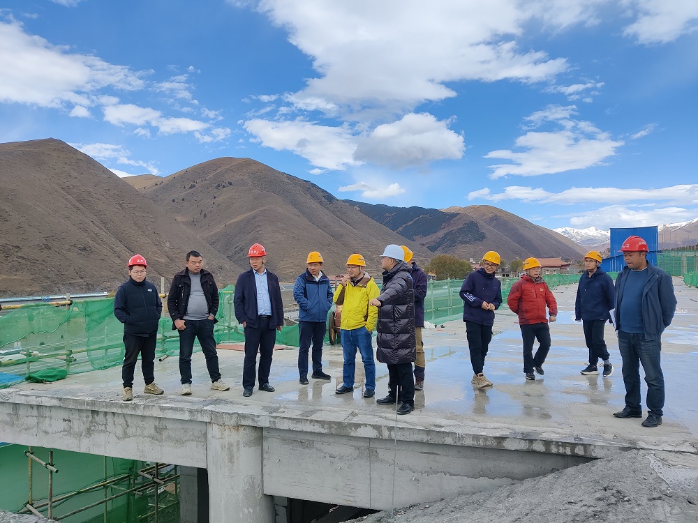 1699500257573054992.jpg 001.jpg