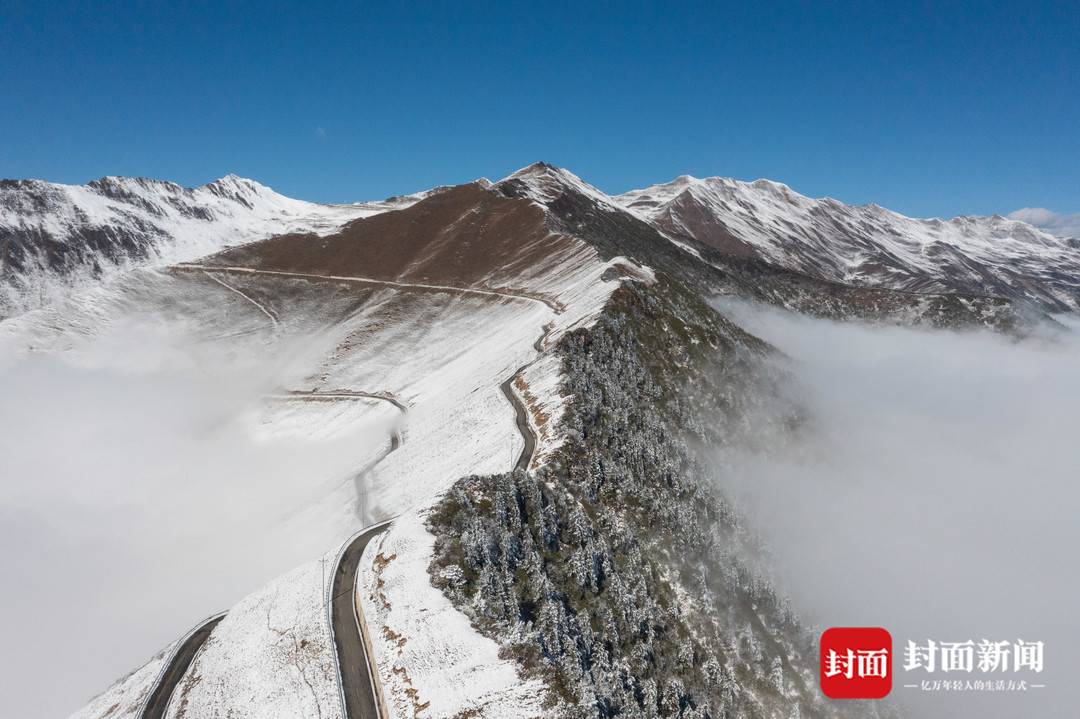 1735288174803013679.jpg 微信圖片_20241227151034.jpg